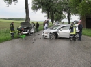 Technischer Einsatz - Verkehrsunfall in Siebenhirten am 16.05.2012_1